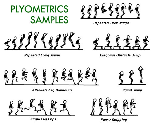 Plyometrics For Kicking